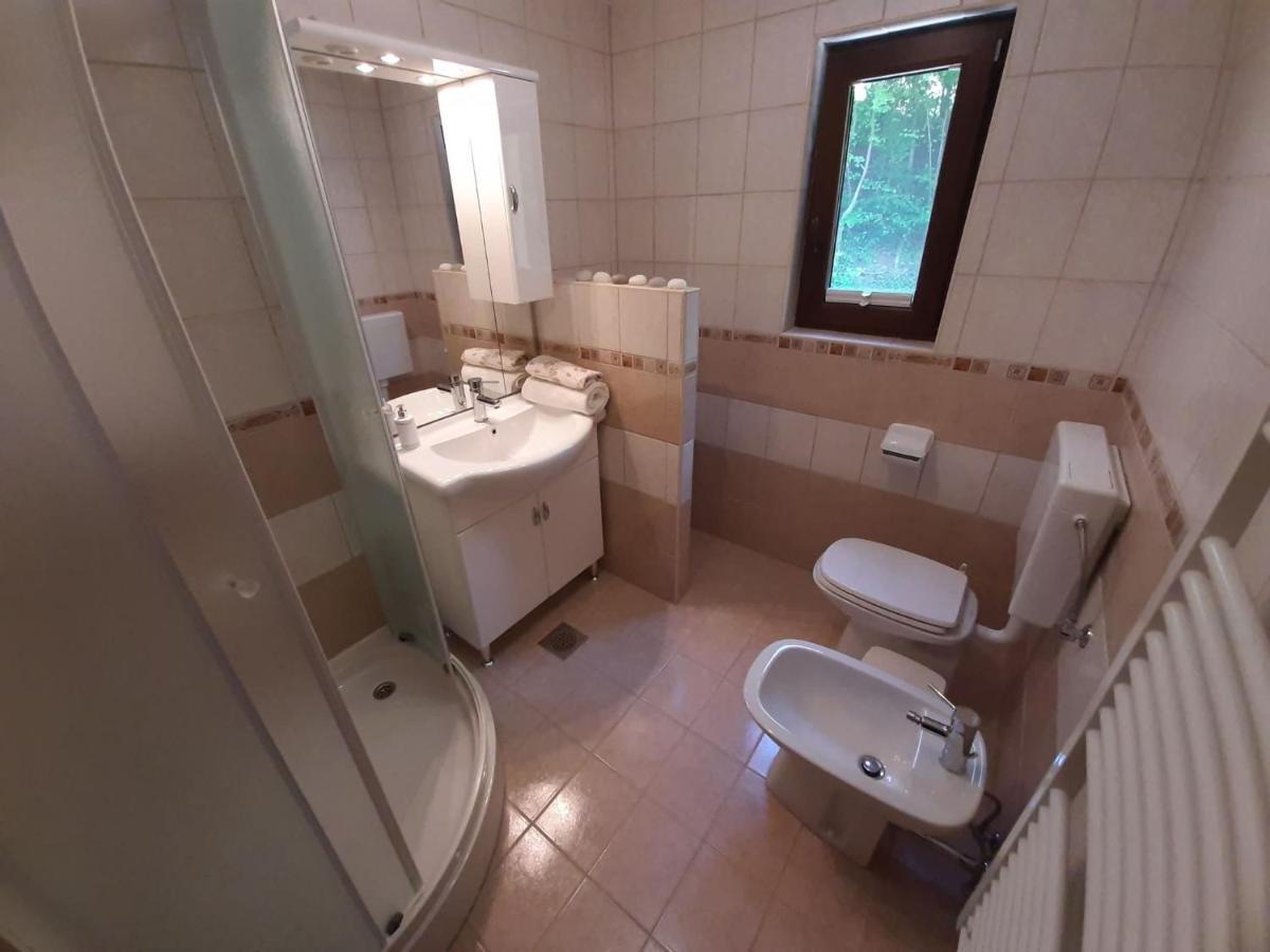 Apartament Tatiana Rogaška Slatina Екстериор снимка
